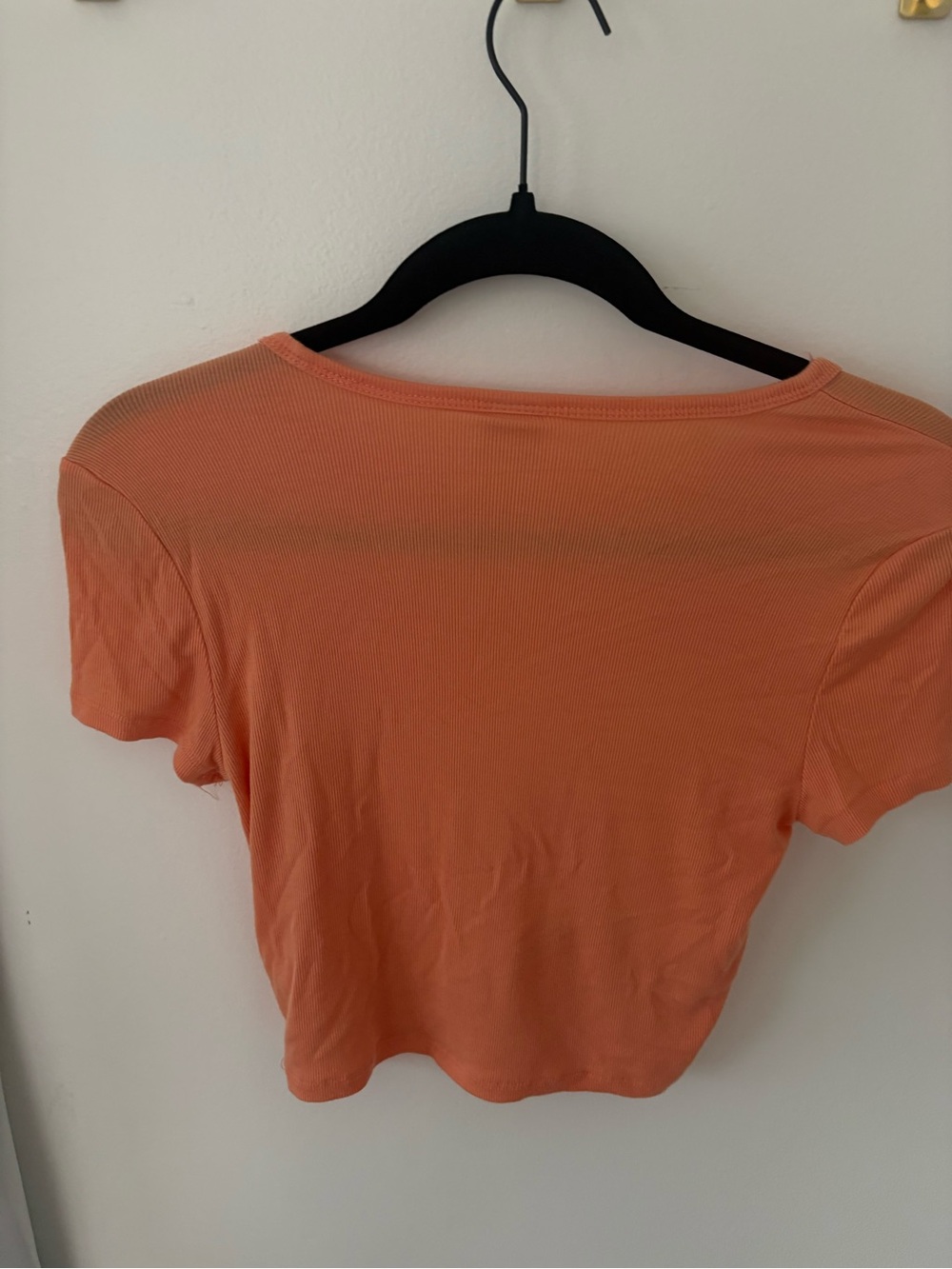 Sunday Best - Aritizia Coral cropped Short Sleeve Ribbed Tee - Picture 2 of 2